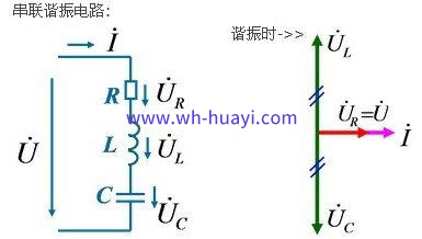 1607070215454284.jpg 1QT953W-0_看圖王.jpg